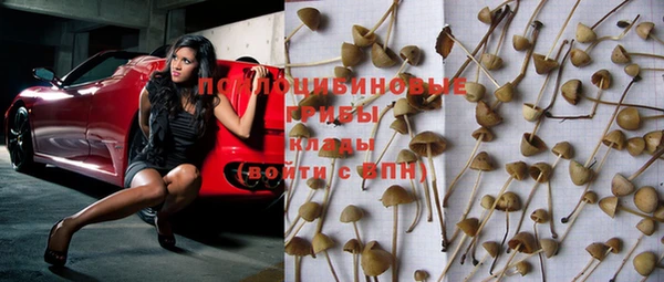 молекула духа Армянск