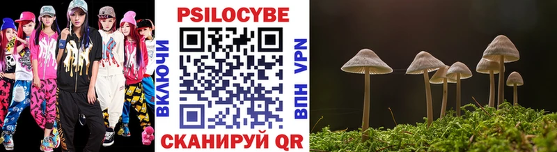 Купить где  Спасск-Дальний  Псилоцибиновые грибы мухоморы 
